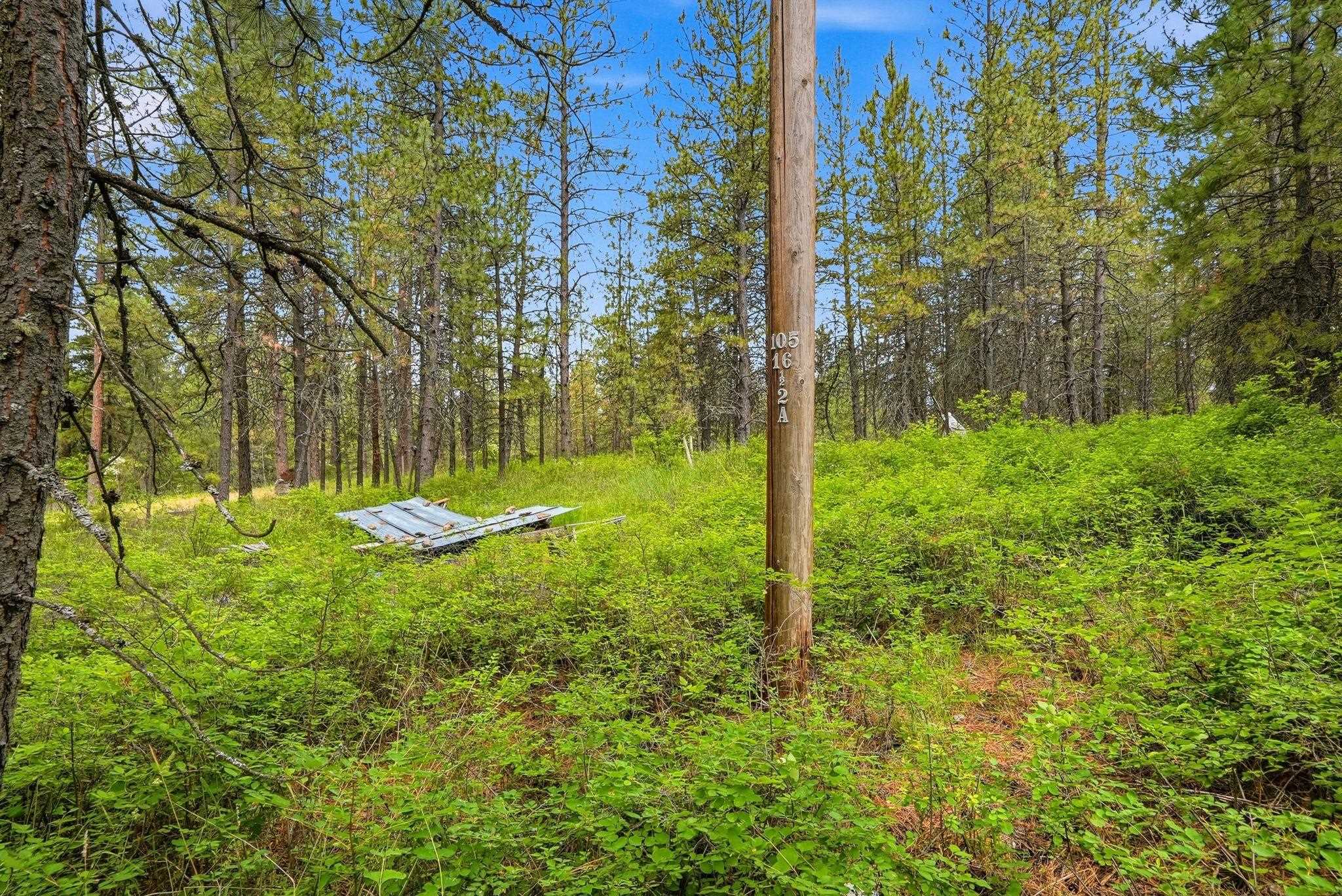 11603 East Deer Creek Road Chattaroy, WA 99003 - Photo 14 of 26