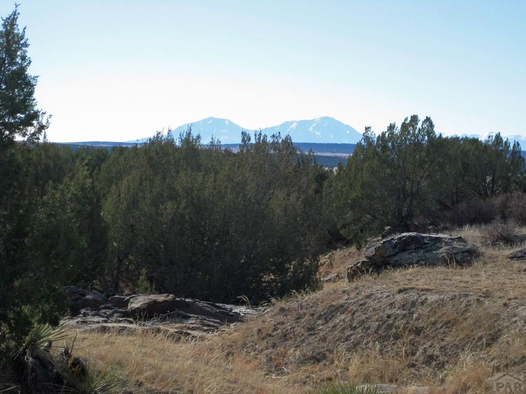 Lot 100 Narrow Gauge Way Rye, CO 81069 - Photo 38 of 42 Gallery Image 38