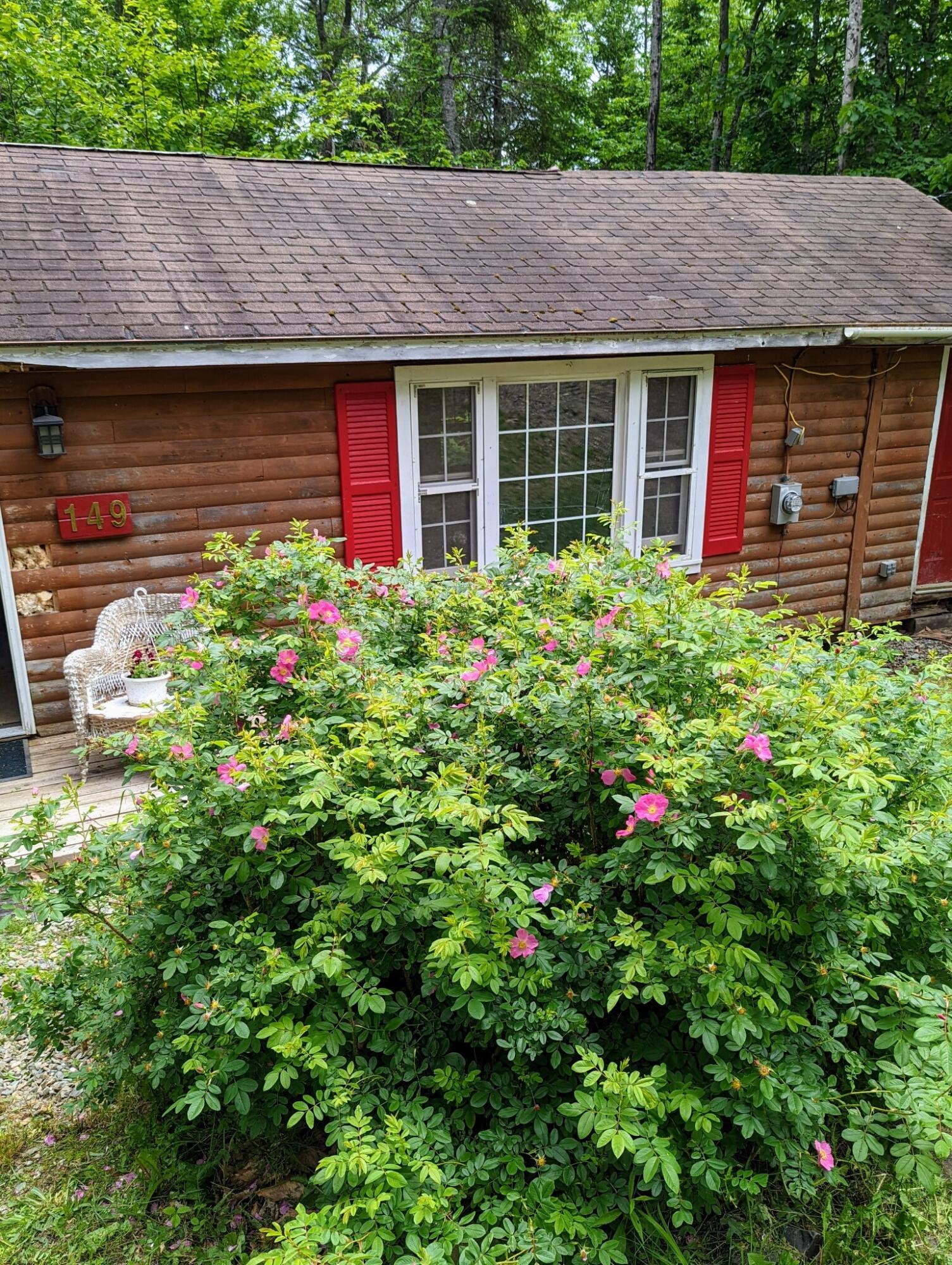 149 Pond Road Dyer Brook, ME 04747 - Photo 57 of 71 PXL_20220624_180041556 (2022-06-25T13_38