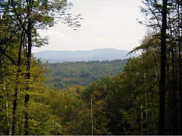 34-35 Winding Brook Road Newbury, NH 03255 - Photo 1 of 7