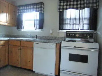a view of a kitchen sink and dishwasher with wooden floor