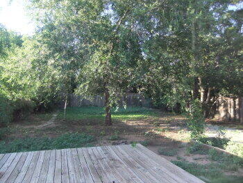 2518 23rd Street Lubbock, TX 79410 - Photo 9 of 9 a backyard of a house with lots of green space