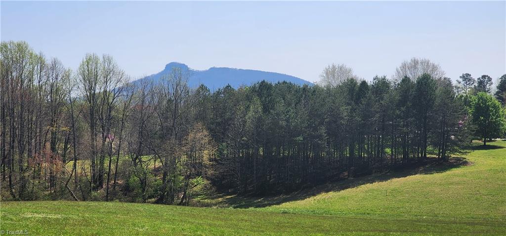 0 West Dodson Mill Road Pilot Mountain, NC 27041 - Photo 1 of 3 Gallery Image 1