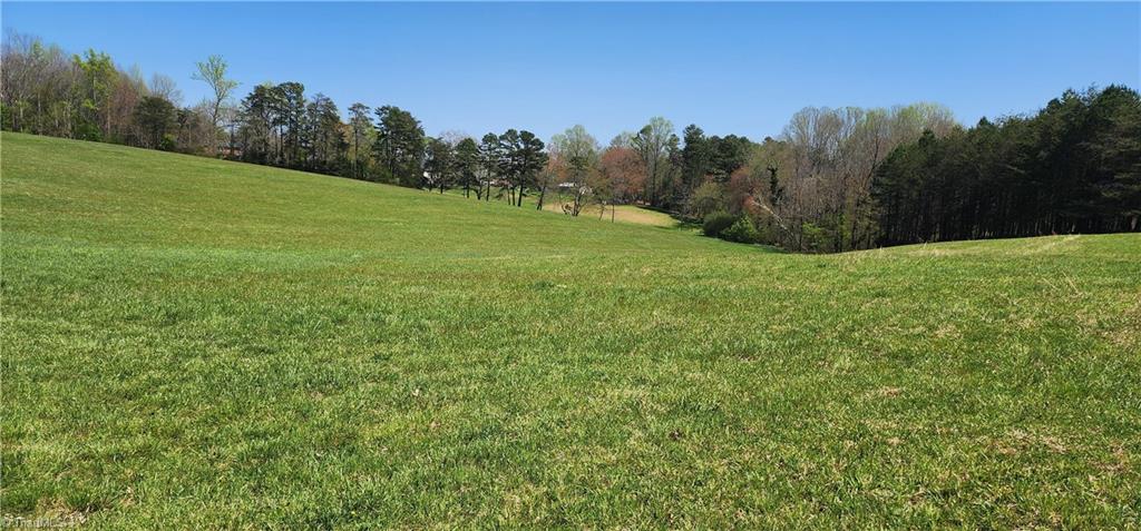 0 West Dodson Mill Road Pilot Mountain, NC 27041 - Photo 2 of 3 Gallery Image 2