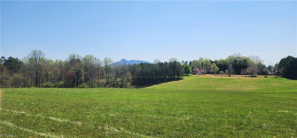0 West Dodson Mill Road Pilot Mountain, NC 27041 - Photo 3 of 3 Gallery Image 3