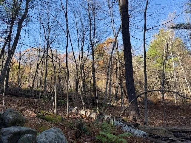 $30,000 | 0 Tract Of Land, Ashby, MA 01431