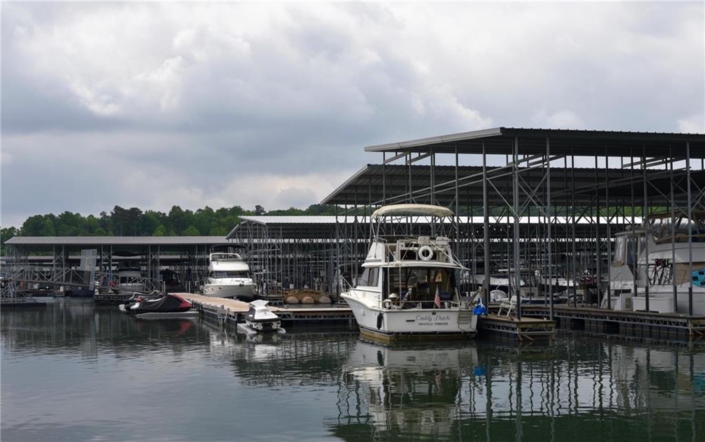 6616 Splashwater Drive Flowery Branch, GA 30542 - Photo 27 of 33 a view of a lake yard and mountain