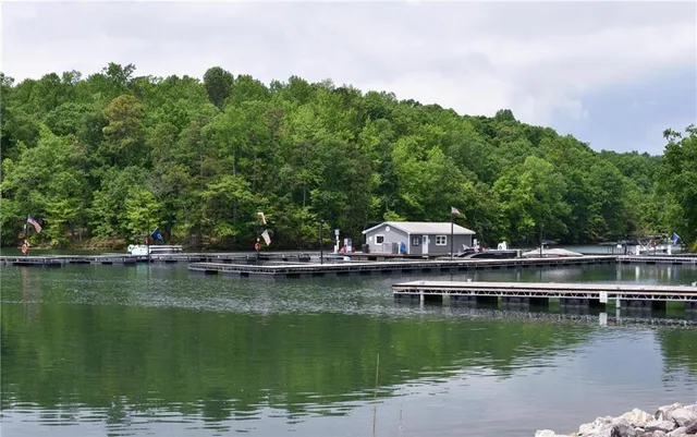 a view of lake with boats