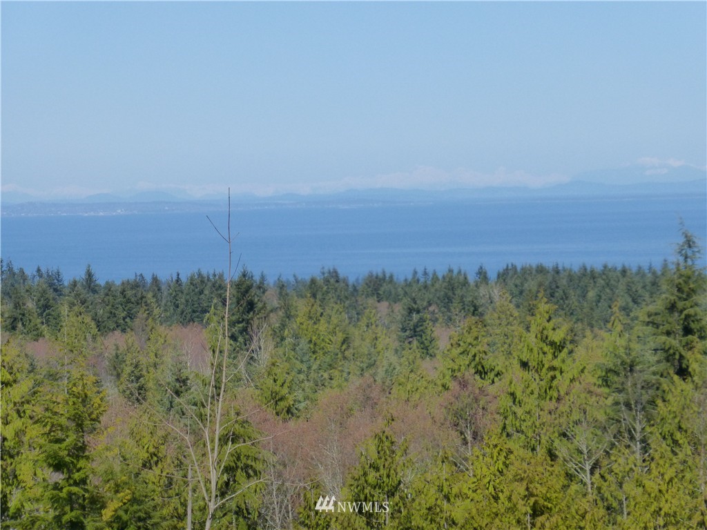 737 McCrorie Road Port Angeles, WA 98362 - Photo 3 of 24 Gallery Image 3