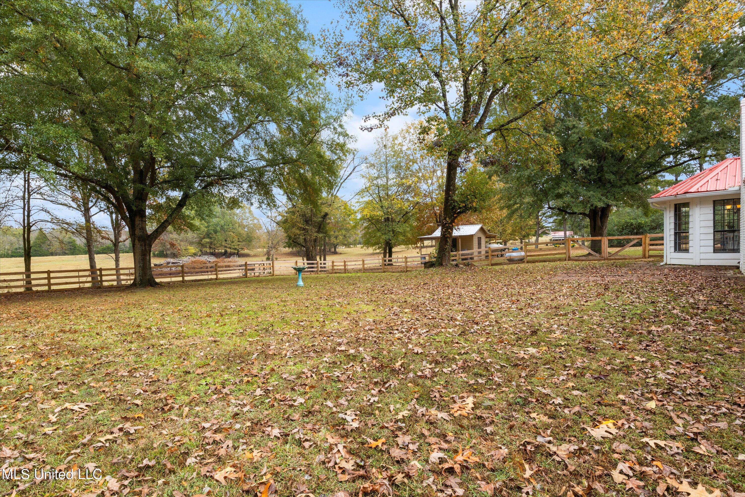 4992 Sycamore Road Coldwater, MS 38618 - Photo 30 of 38 30-IMG_4856