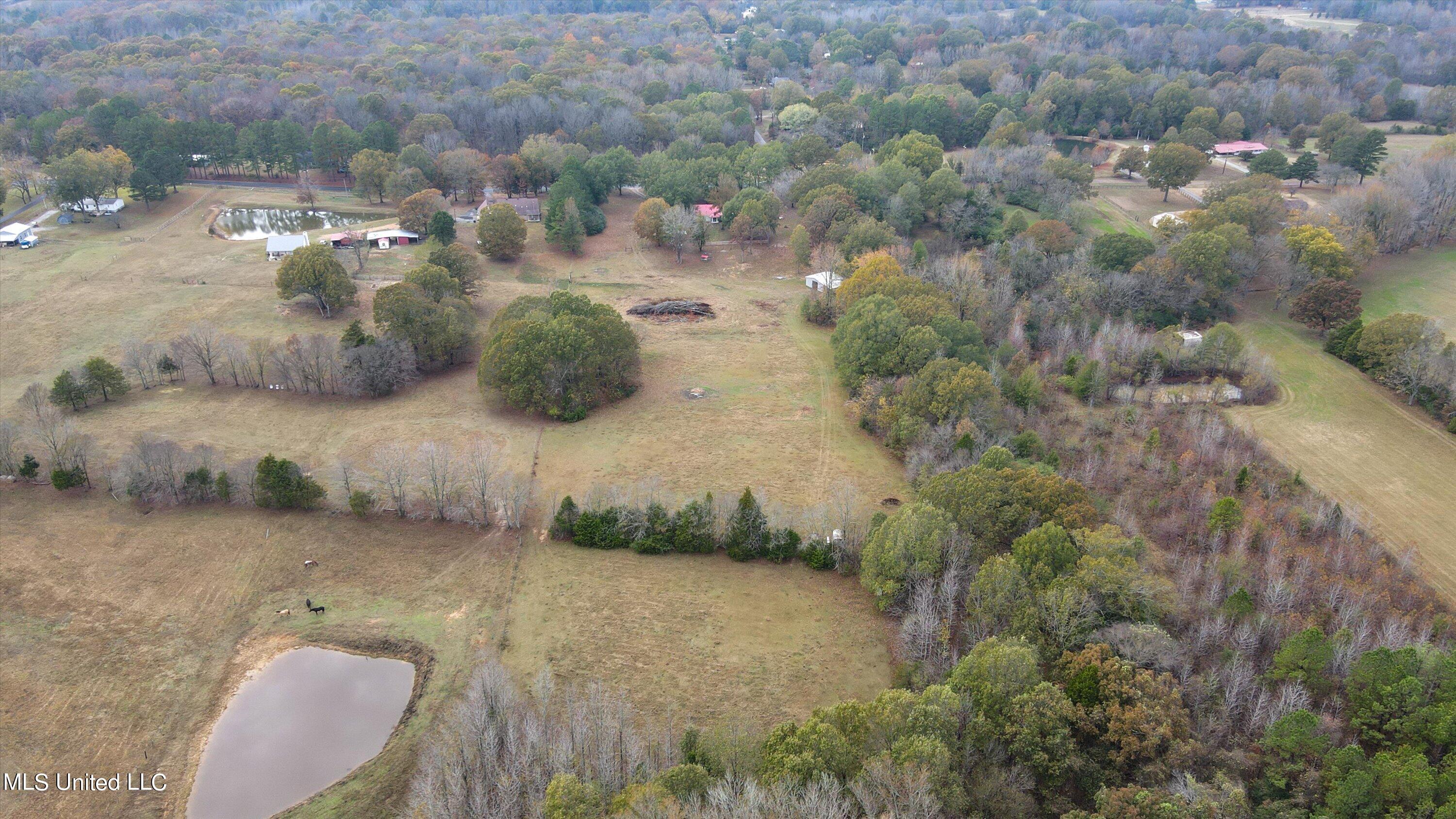 4992 Sycamore Road Coldwater, MS 38618 - Photo 38 of 38 42-DJI_0986
