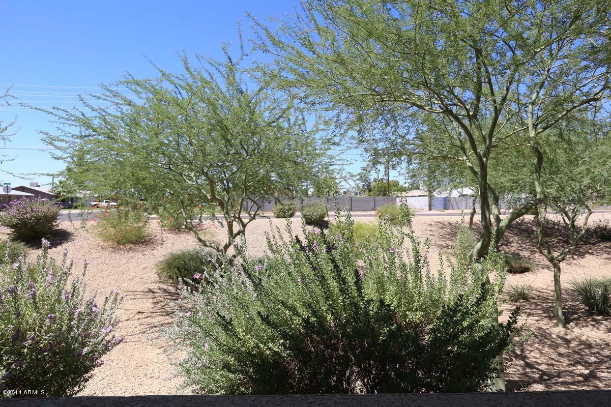 525 North Miller Road, Unit 102 Scottsdale, AZ 85257 - Photo 15 of 31 Patio-View