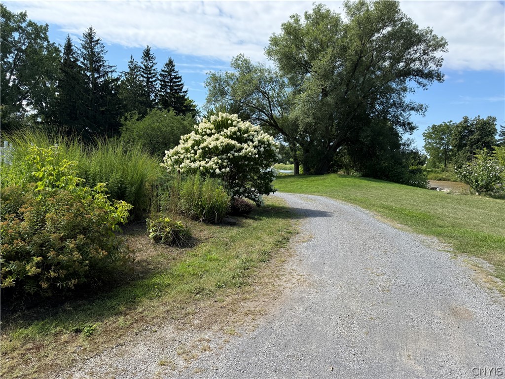 8103 Swan Road Ellisburg, NY 13605 - Photo 11 of 48 Gallery Image 11