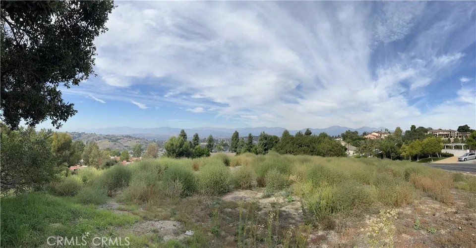a view of a lake from a yard