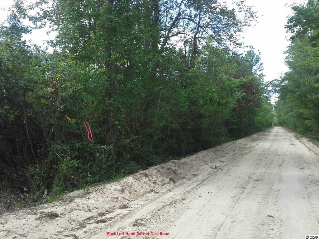 South Smith Pond Road Marion, SC 29571 - Photo 2 of 5 Gallery Image 2