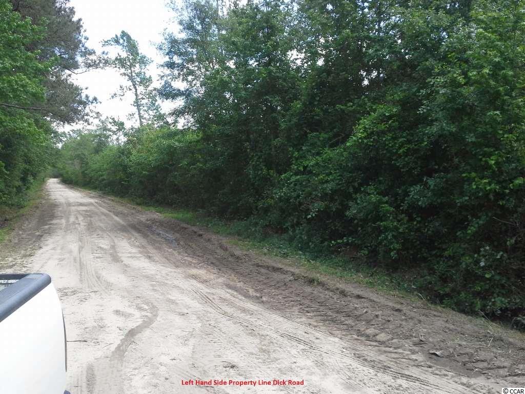 South Smith Pond Road Marion, SC 29571 - Photo 3 of 5 Gallery Image 3