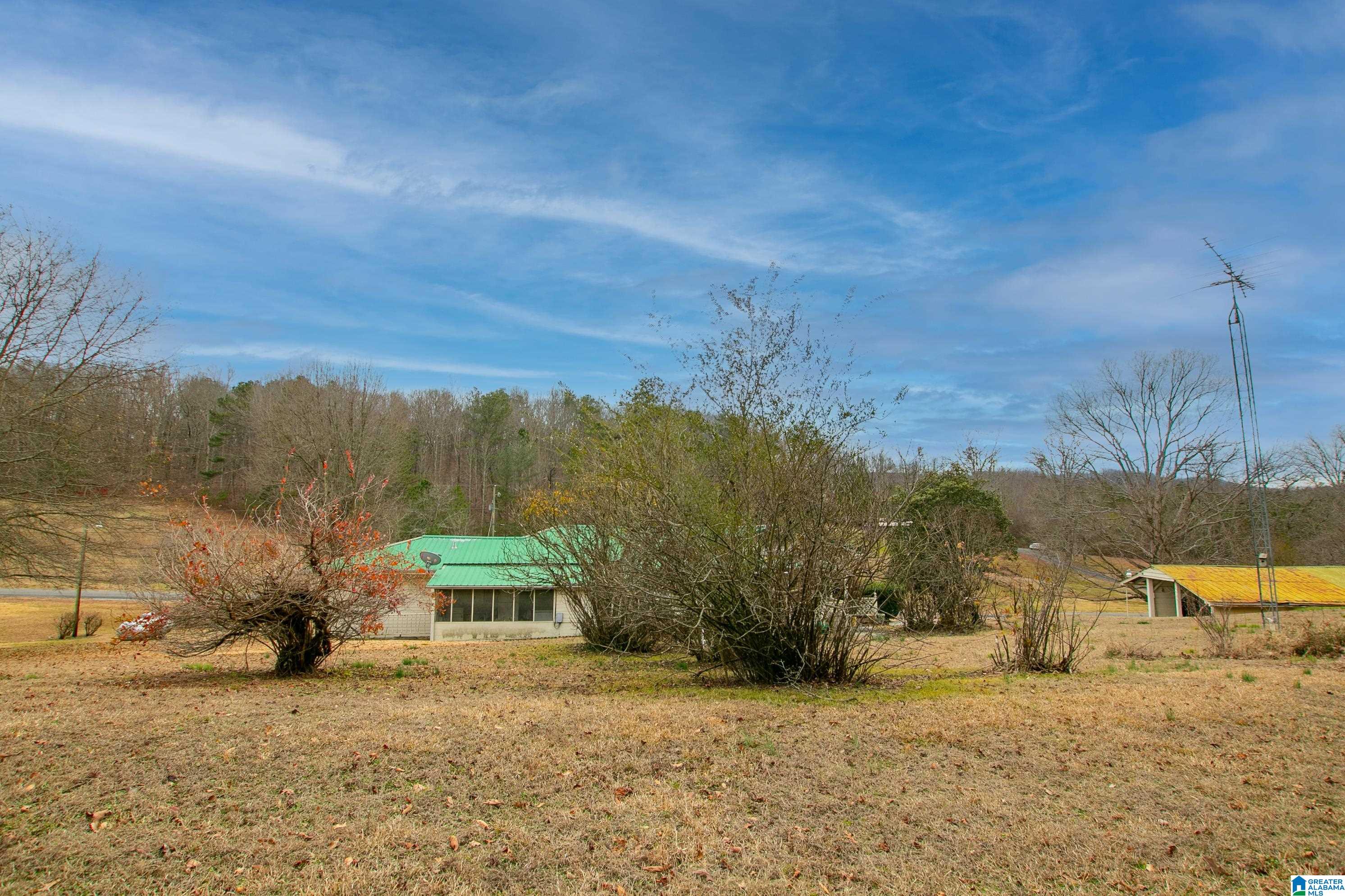 1042 Hoyt Hill Road Ashville, AL 35953 - Photo 36 of 45
