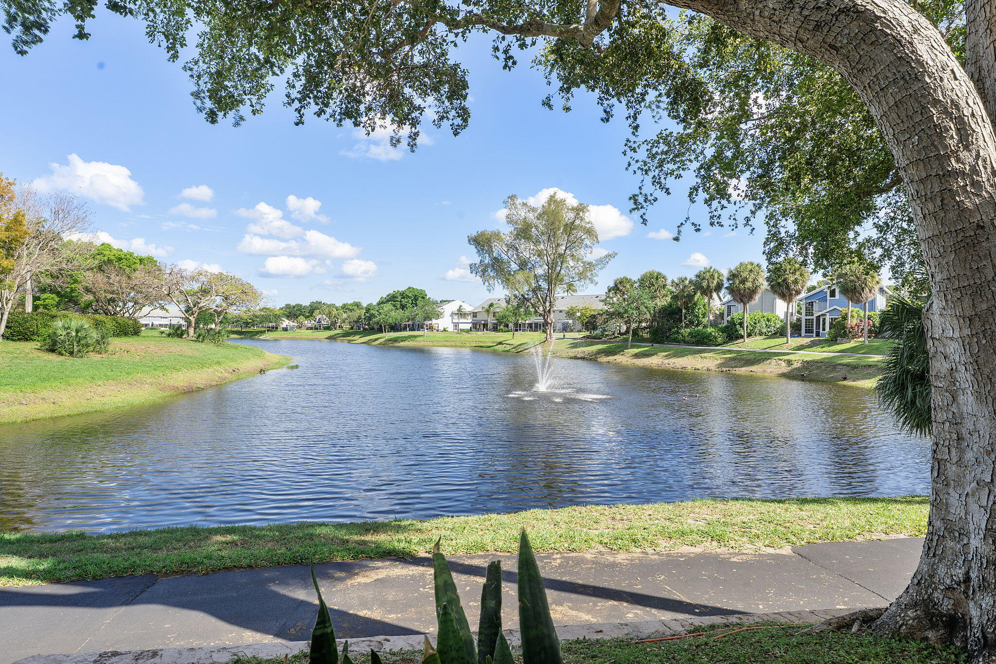 5272 Buckhead Circle, Unit 1010 Boca Raton, FL 33431 - Photo 2 of 28 14-web-or-mls-DSC05550