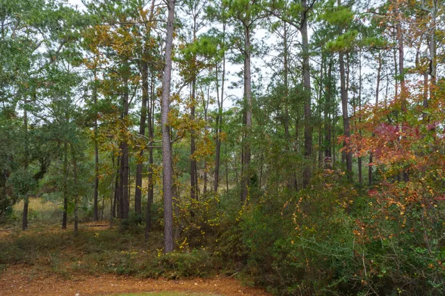 $624,990 | 229 Slipper Shell Court, Mount Pleasant, SC 29464