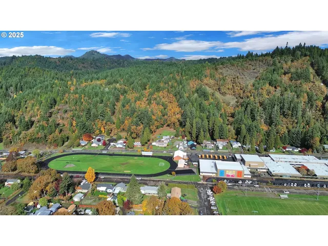 $310,000 | 47960 West 1st Street, Oakridge, OR 97463