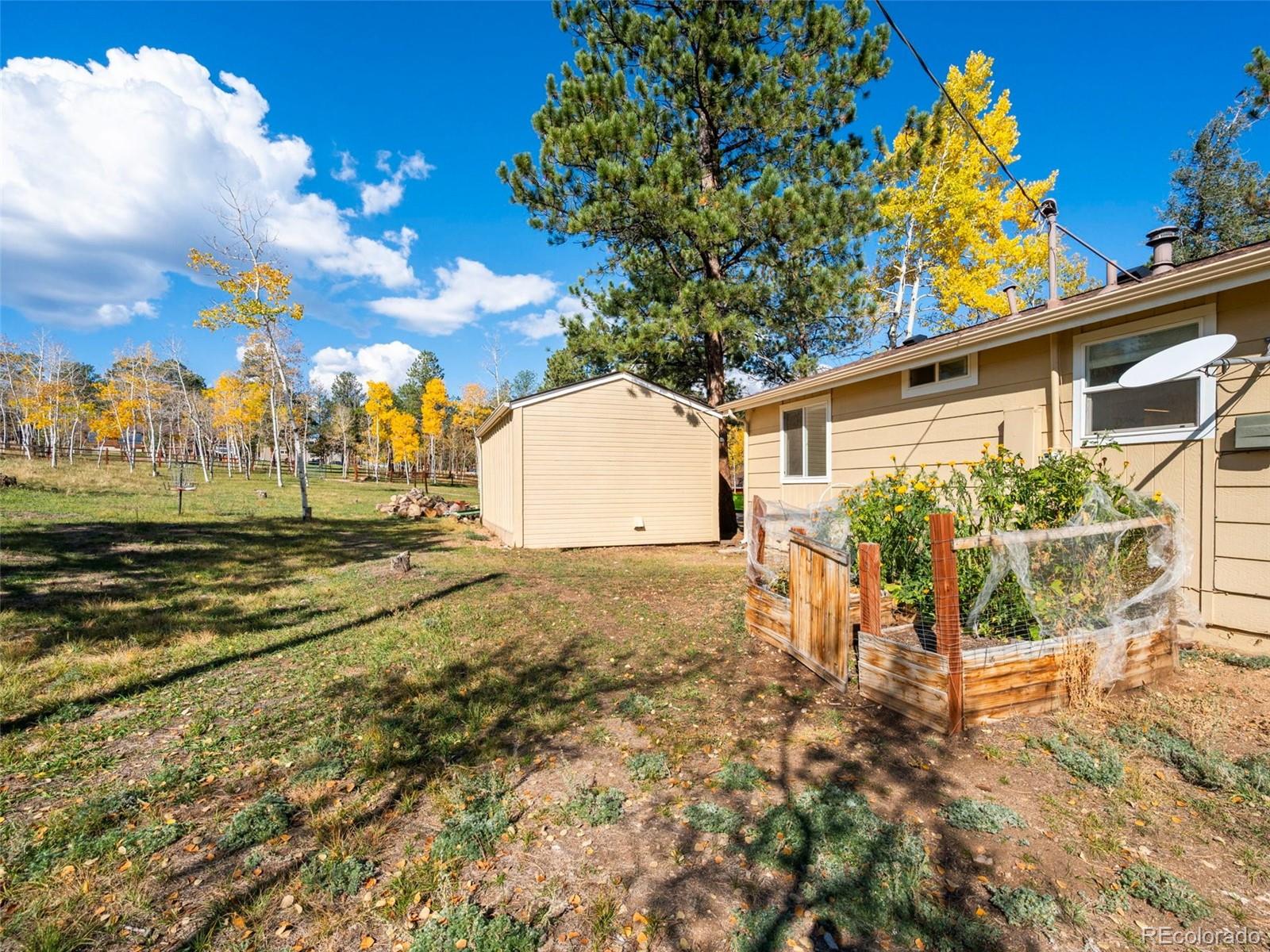 196 Beaver Trail Bailey, CO 80421 - Photo 9 of 50 Gallery Image 9