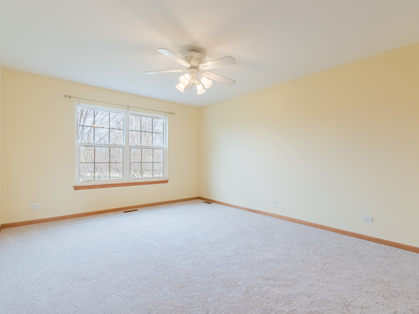 902 Pheasant Trail St. Charles, IL 60174 - Photo 11 of 31