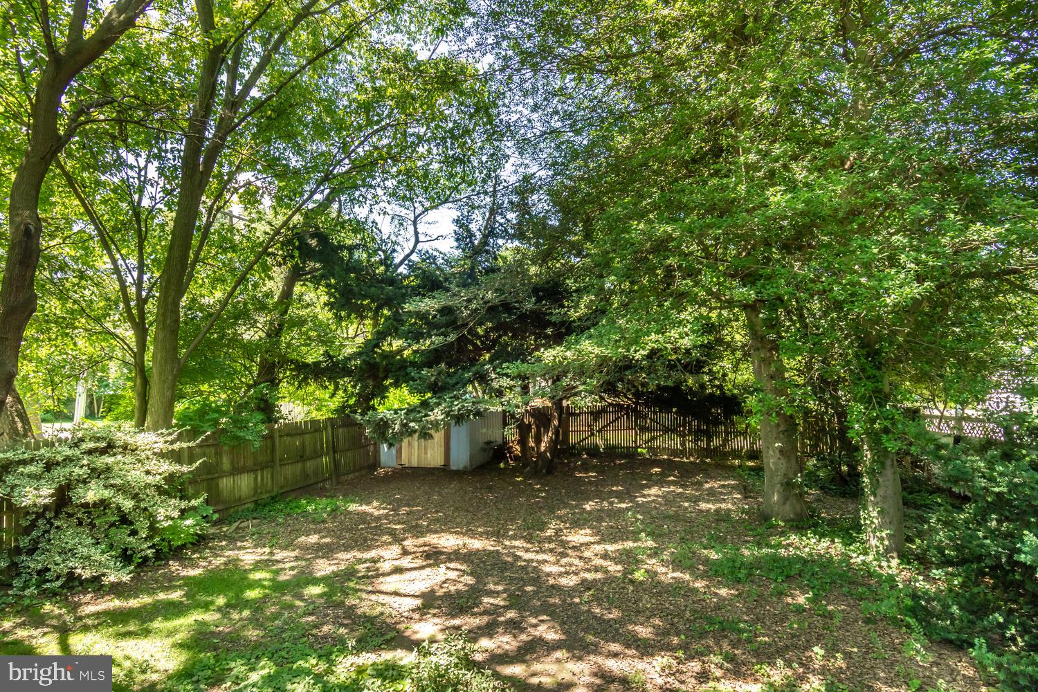 203 Central Avenue Ridgely, MD 21660 - Photo 26 of 34 PRIVATE YARD