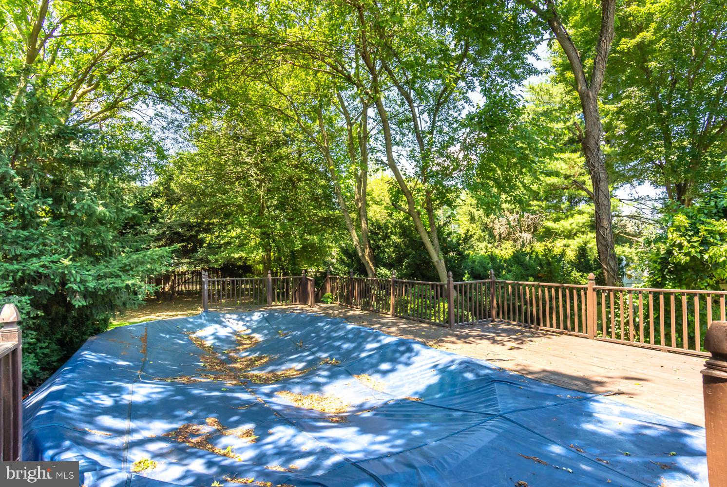203 Central Avenue Ridgely, MD 21660 - Photo 27 of 34 POOL "AS IS"