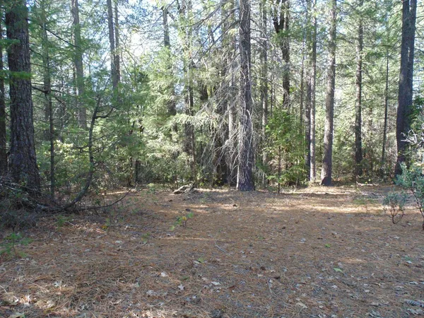 $154,000 | 35 Balderston Road, Georgetown, CA 95634
