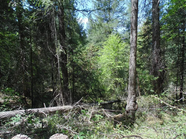 $154,000 | 35 Balderston Road, Georgetown, CA 95634