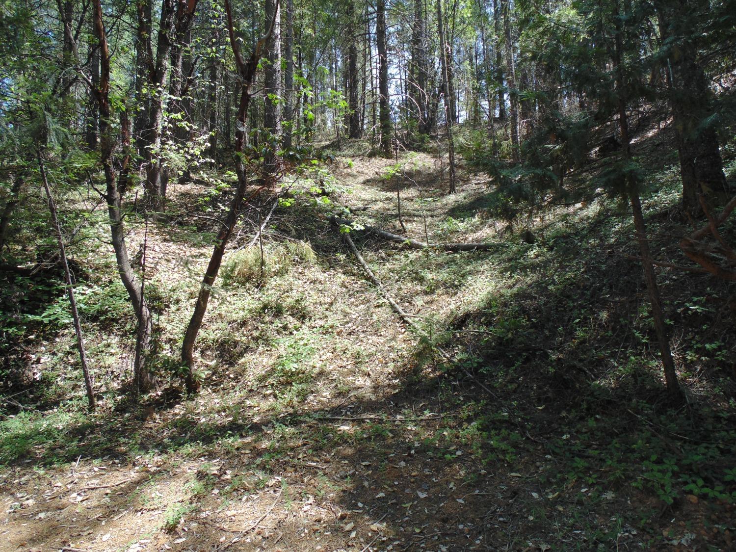 35 Balderston Road Georgetown, CA 95634 - Photo 18 of 37