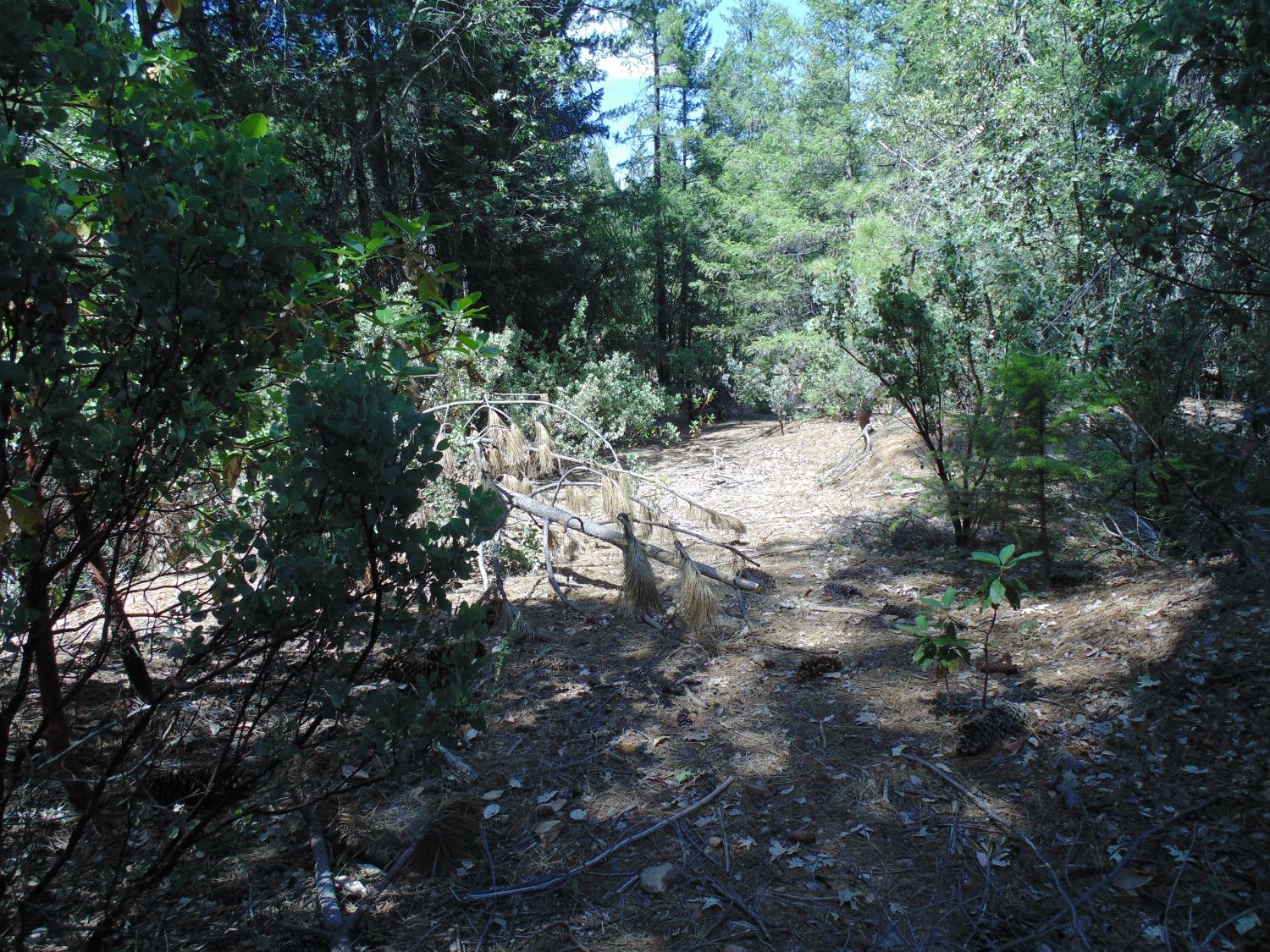 35 Balderston Road Georgetown, CA 95634 - Photo 21 of 37