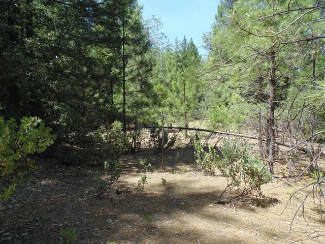 $154,000 | 35 Balderston Road, Georgetown, CA 95634