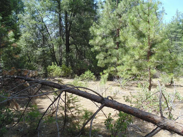 $154,000 | 35 Balderston Road, Georgetown, CA 95634