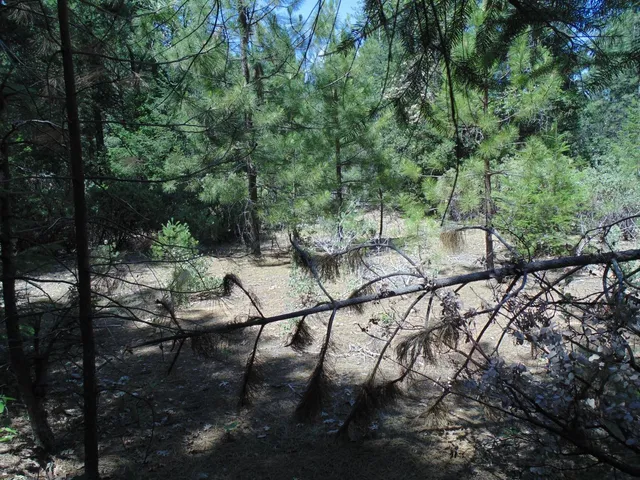 $154,000 | 35 Balderston Road, Georgetown, CA 95634