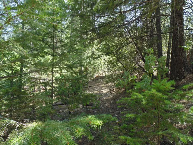 $154,000 | 35 Balderston Road, Georgetown, CA 95634