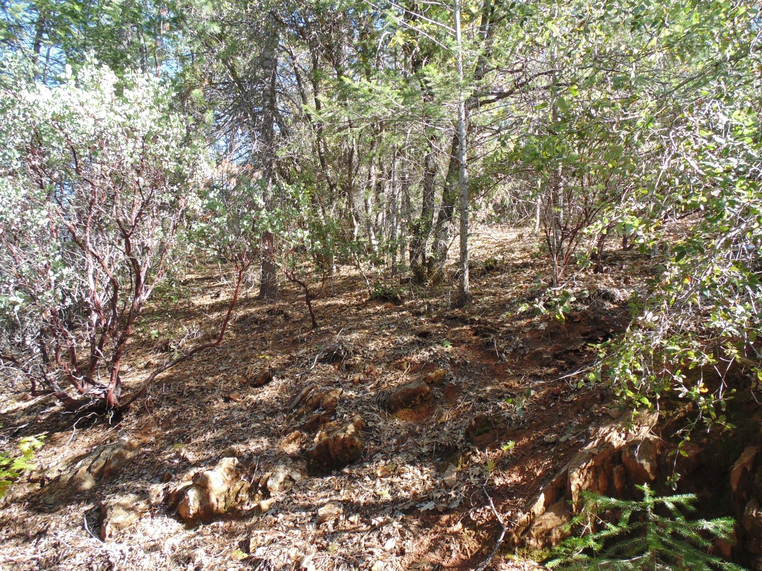 35 Balderston Road Georgetown, CA 95634 - Photo 28 of 37