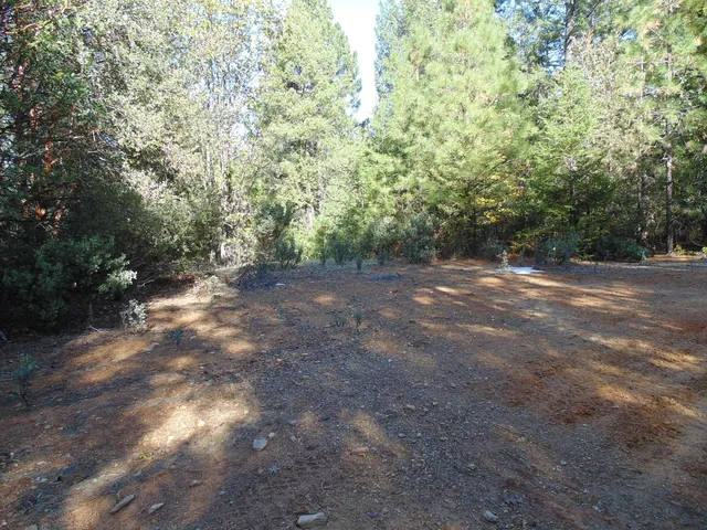 $154,000 | 35 Balderston Road, Georgetown, CA 95634