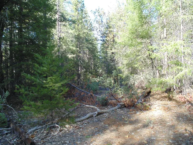 $154,000 | 35 Balderston Road, Georgetown, CA 95634