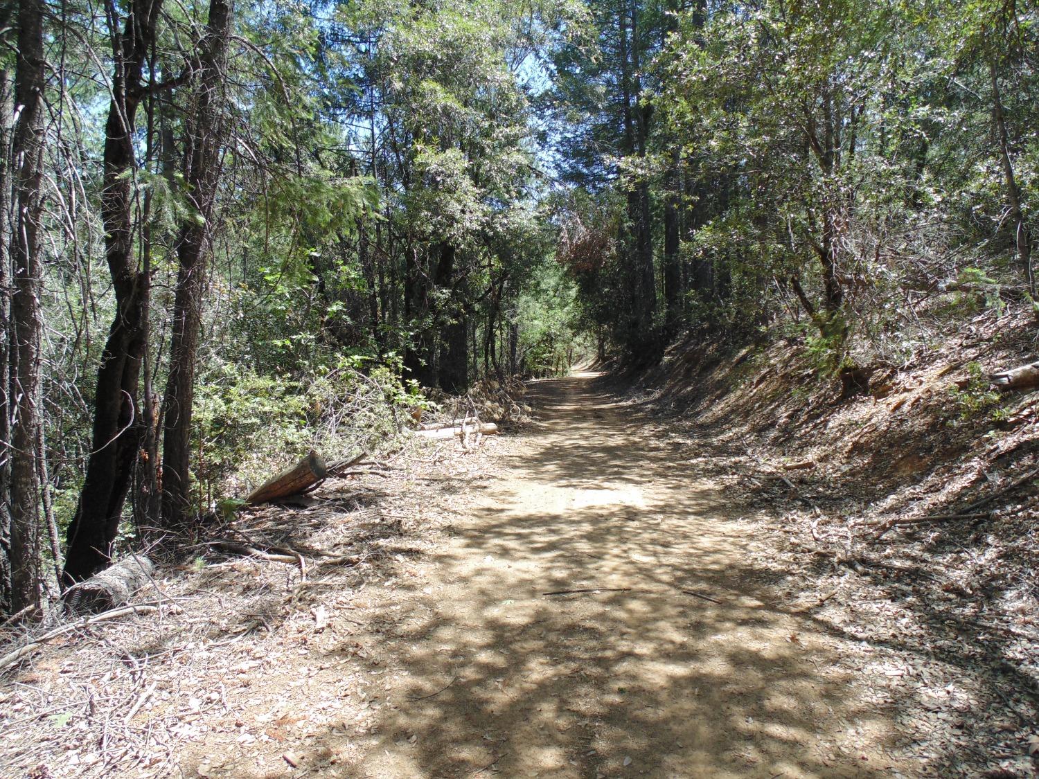 35 Balderston Road Georgetown, CA 95634 - Photo 3 of 37