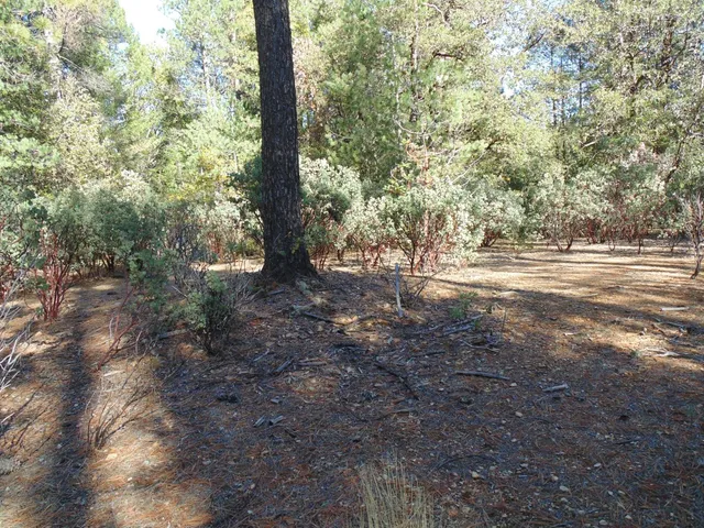 $154,000 | 35 Balderston Road, Georgetown, CA 95634