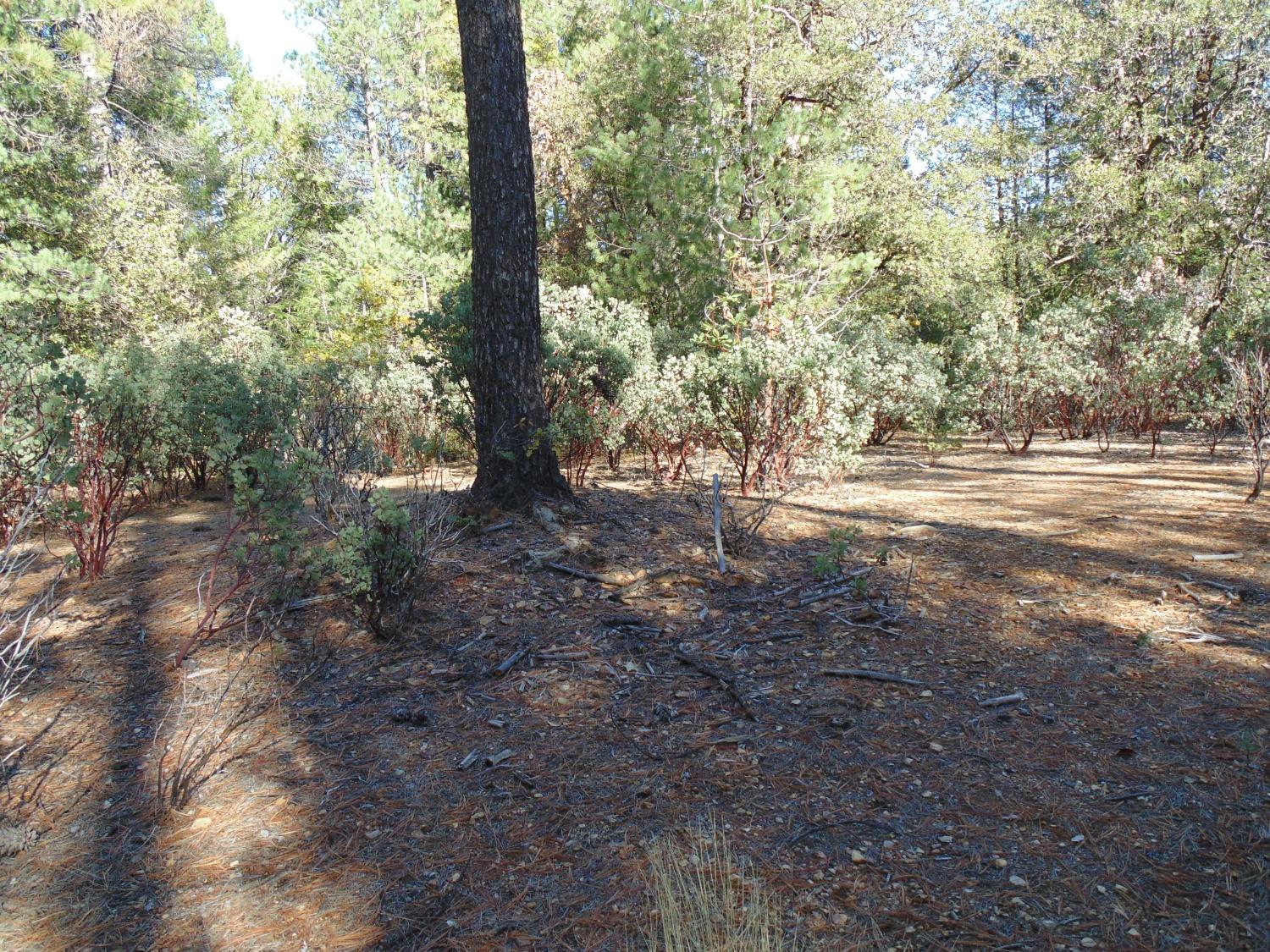 35 Balderston Road Georgetown, CA 95634 - Photo 35 of 37