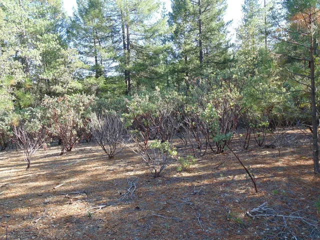 $154,000 | 35 Balderston Road, Georgetown, CA 95634