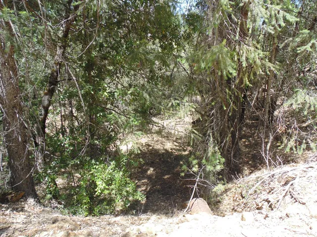 $154,000 | 35 Balderston Road, Georgetown, CA 95634