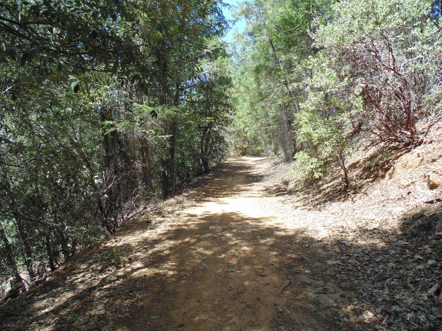 35 Balderston Road Georgetown, CA 95634 - Photo 7 of 37