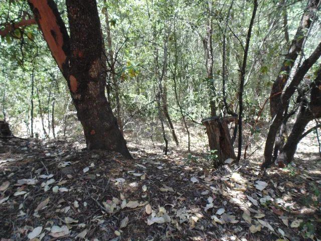 $154,000 | 35 Balderston Road, Georgetown, CA 95634