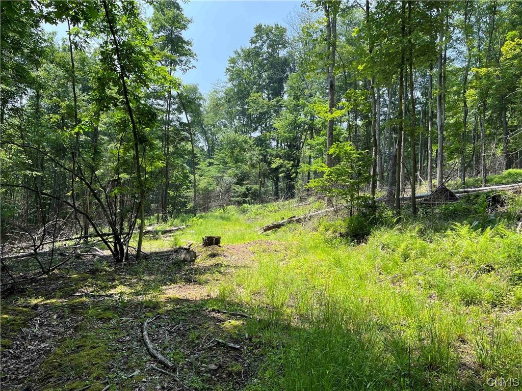 0 Gleason Hollow Road Belfast, NY 14711 - Photo 6 of 27 Gallery Image 6