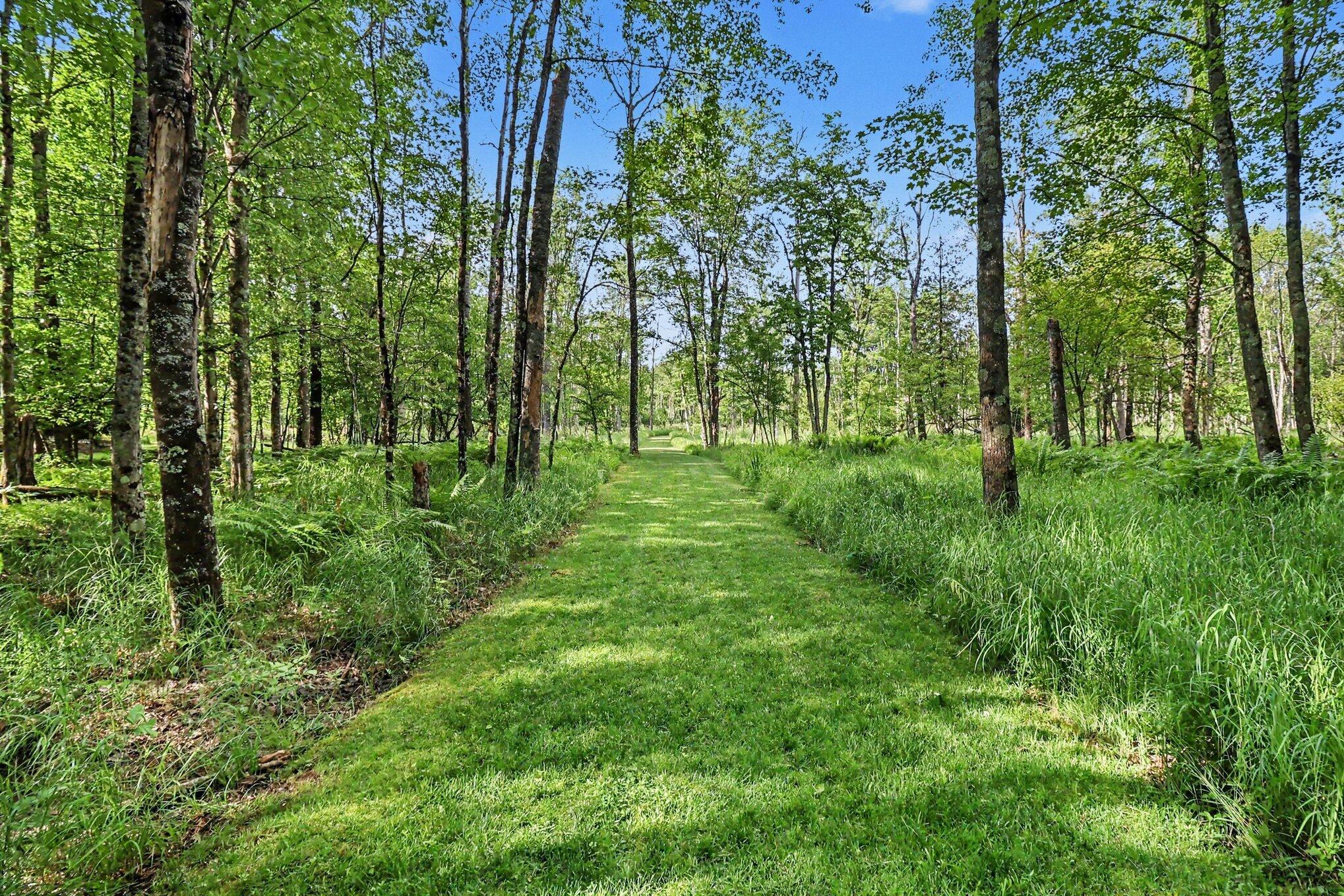141 West 4 Mile Road Luther, MI 49656 - Photo 26 of 34 026_file_6633