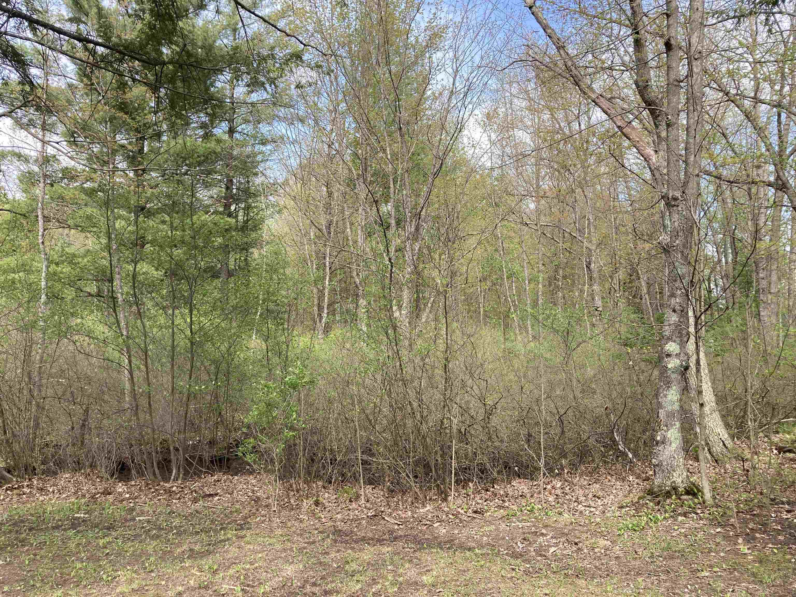 2866 Main Street Lupton, MI 48635 - Photo 7 of 17