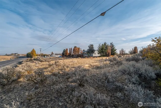 a backyard of a house with trees
